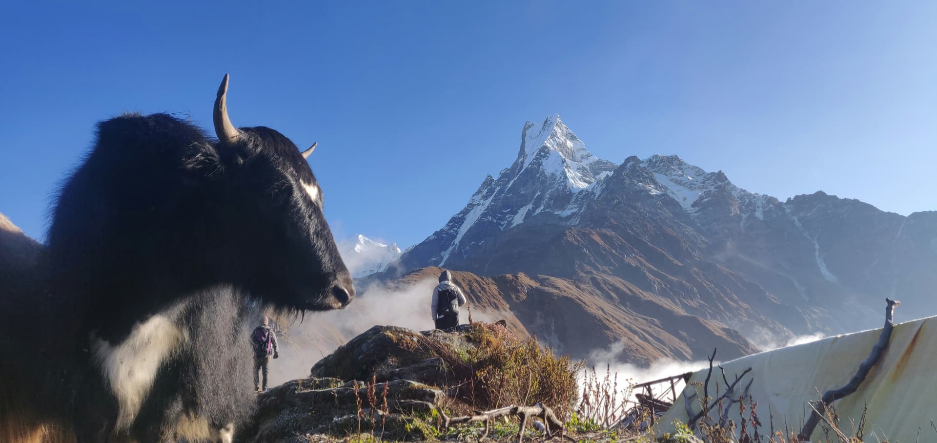 Mardi Himal Base Camp Trek | 10-Day Annapurna Trek 4