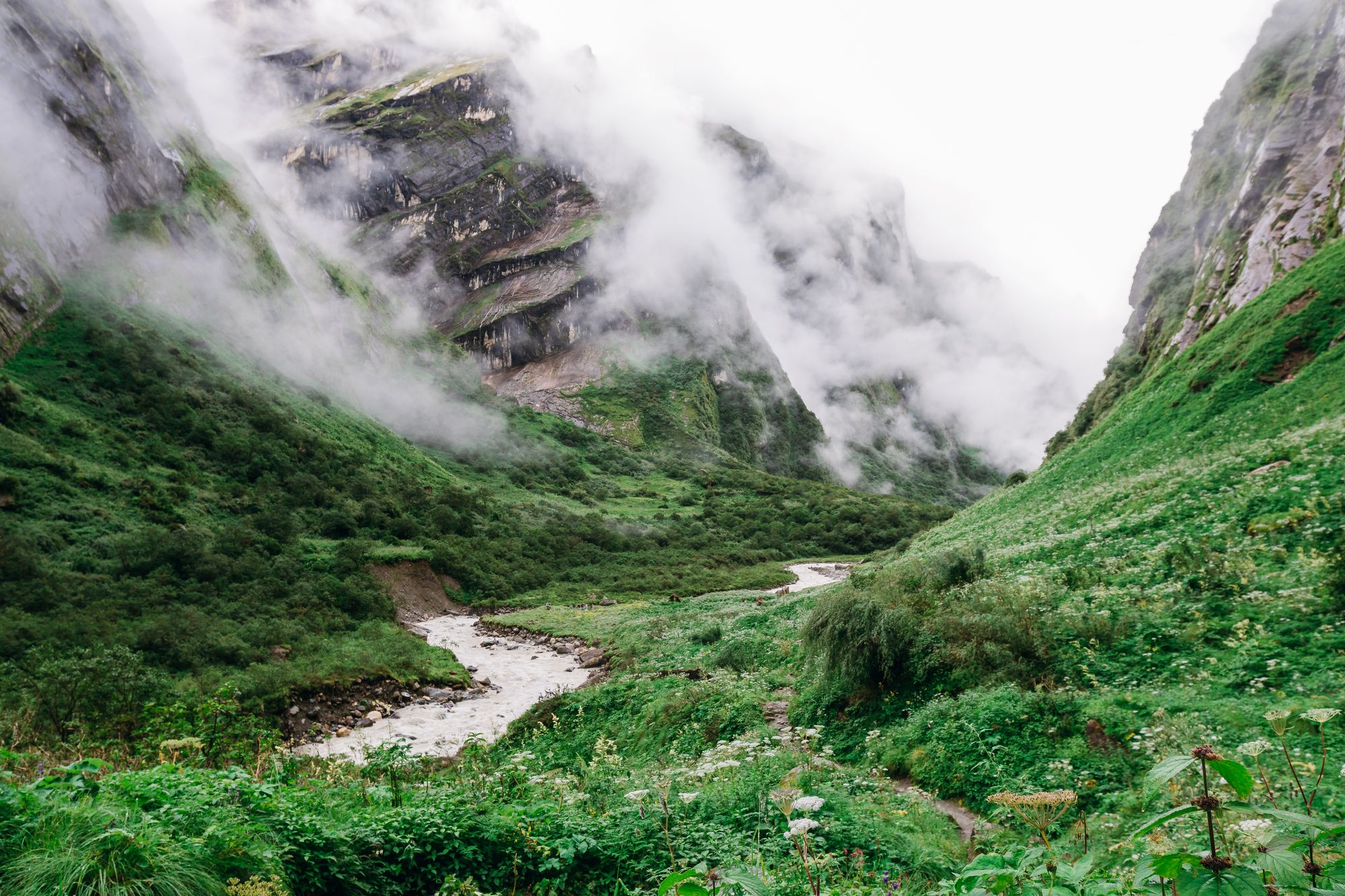 Himalayan trek background